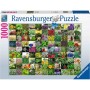Puzzle 99 De Plante Si Condimente, 1000 Piese Ravensburger - 2